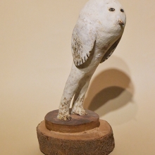 -大美無言藝術空間