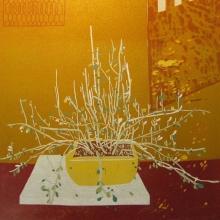 小發財樹-大美無言藝術空間