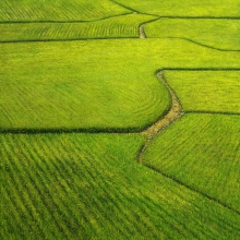 自心喜悅 60x60cm 2015-大美無言藝術空間