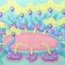 -大美無言藝術空間