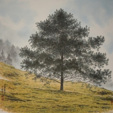 -大美無言藝術空間