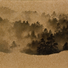 -大美無言藝術空間