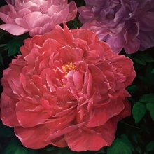 -大美無言藝術空間